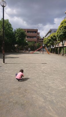 新作公園- どんぐり公園 -の画像