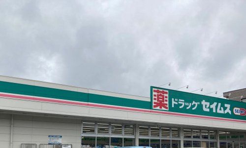 ドラッグセイムス与野鈴谷店の画像