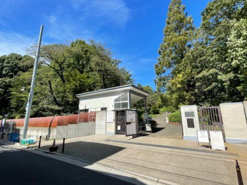 小石川植物園の画像