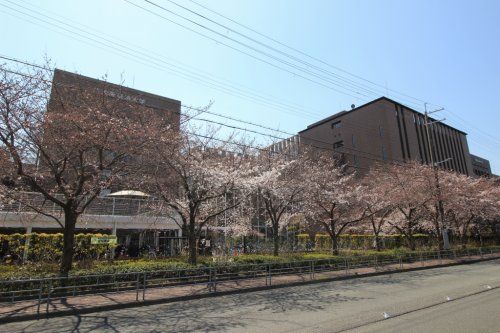 私立大阪経済大学の画像