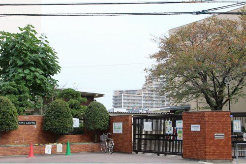 大阪市立大桐小学校の画像