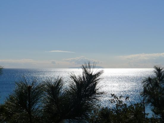 茅ヶ崎海岸の画像