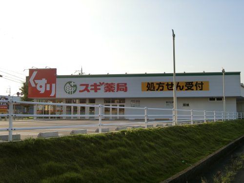 スギ薬局　和泉府中東店の画像