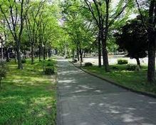 葉場公園の画像