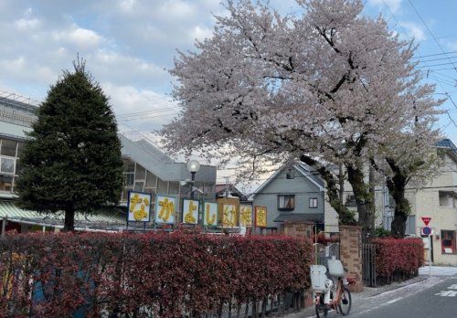 なかよし幼稚園の画像