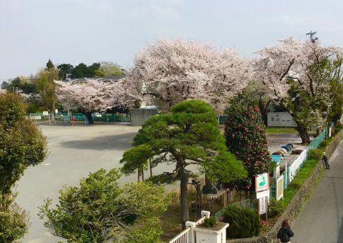 栗原小学校の画像