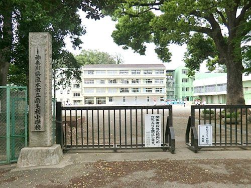 南毛利小学校の画像