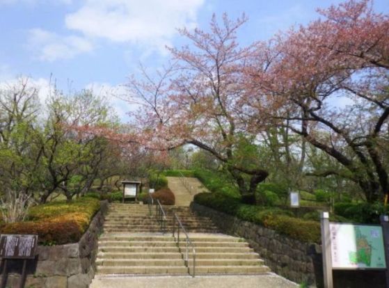 羽根木公園の画像