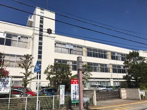 城東小学校の画像