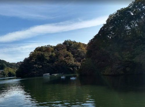 相模湖自然公園ふるさとの森の画像