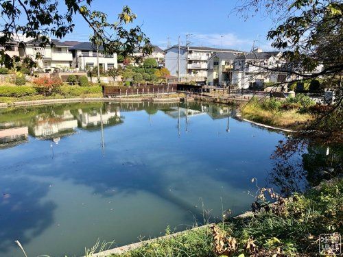 立野台公園の画像