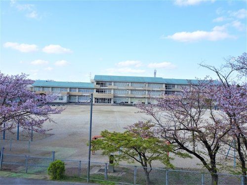 市原市立辰巳台西小学校の画像