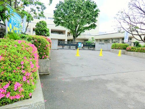 今泉小学校の画像