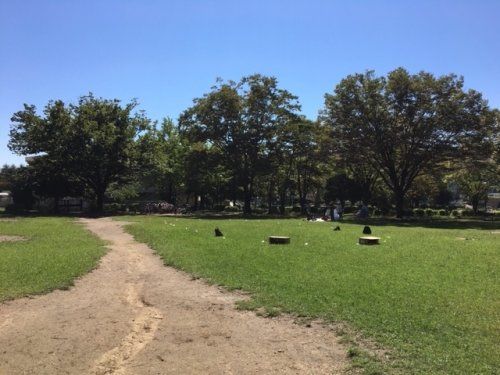 鶴川中央公園の画像