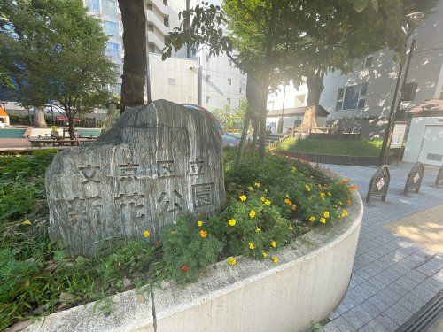 文京区立新花公園の画像