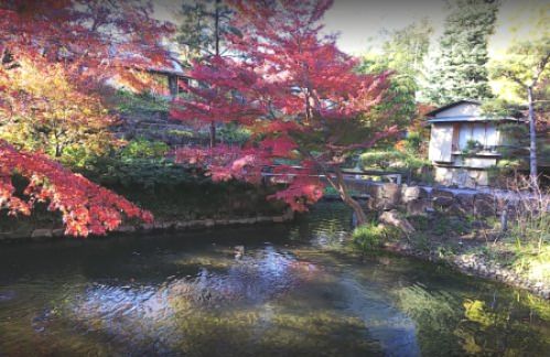 練馬区立向山庭園の画像