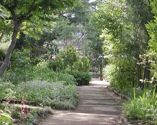 世田谷区立成城三丁目こもれびの庭市民緑地の画像