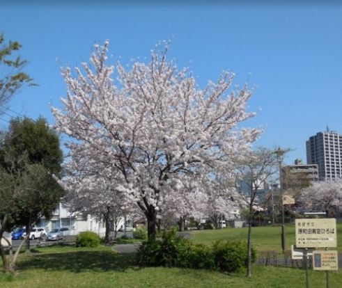 原町田青空ひろばの画像