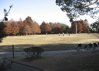 稲沢公園の画像