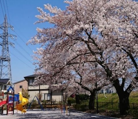 暁公園の画像