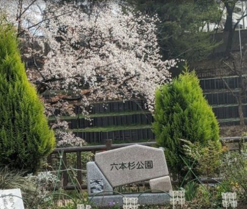 六本杉公園の画像