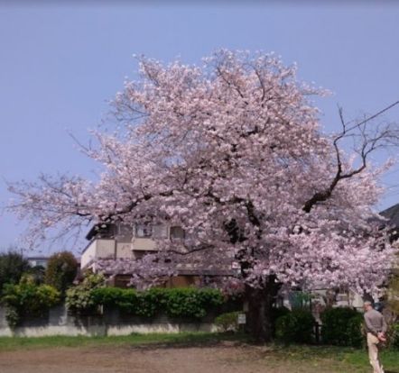 小門公園の画像