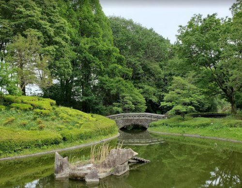 清水公園の画像