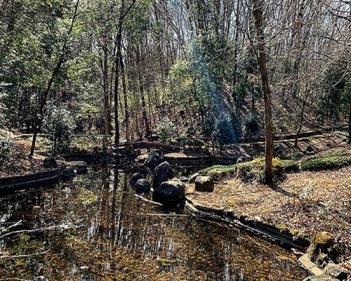 裏宿さくら公園の画像