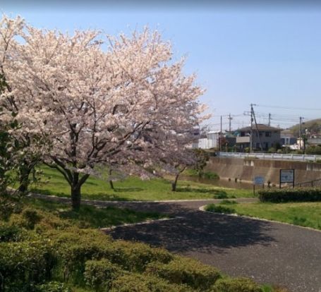 石川田島公園の画像