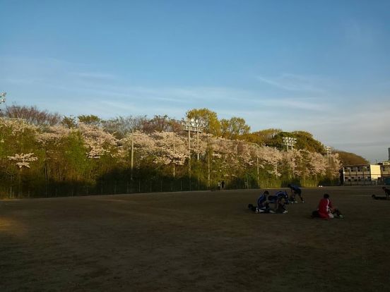 尼崎市立尼崎高等学校 第2グラウンドの画像