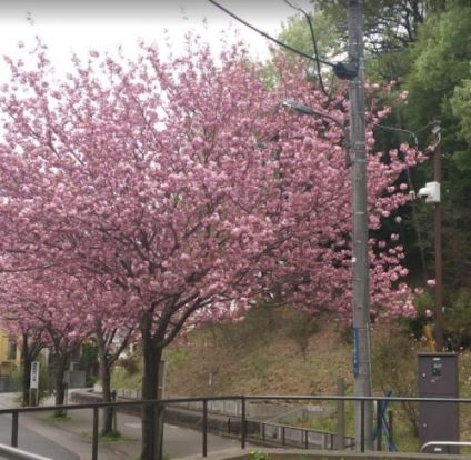 みなみ野菖蒲谷戸公園の画像