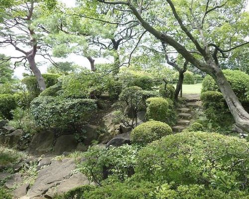 等々力渓谷内日本庭園・書院の画像