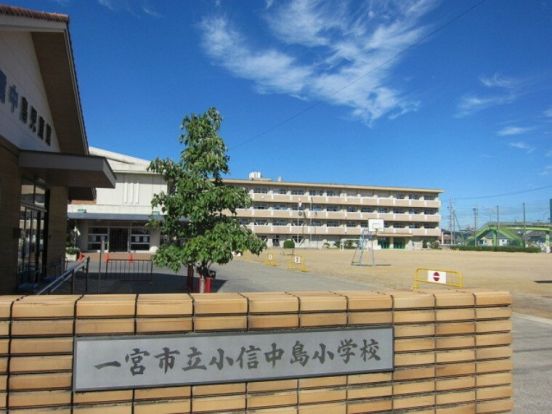 一宮市立小信中島小学校の画像