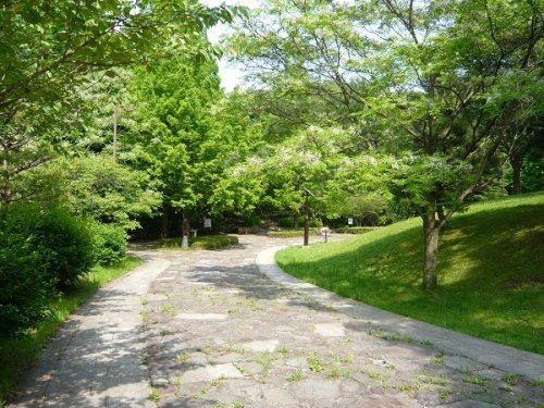 桜ヶ丘公園の画像