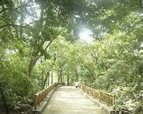 林試の森公園 西門の画像