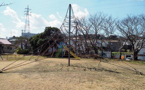 真舟中央公園の画像