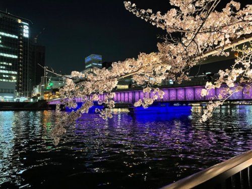 南天満公園の画像