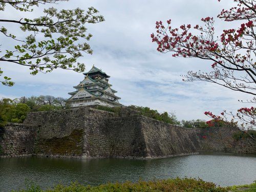 大阪城公園の画像