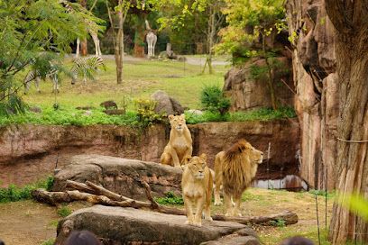 天王寺動物園の画像