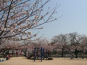 妙法寺川公園の画像