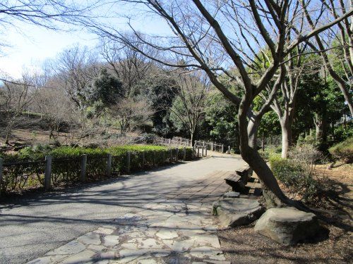 茅ヶ崎公園の画像