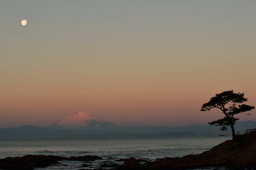 立石公園・秋谷海岸の画像