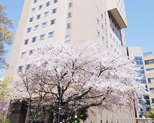 日本女子大学 目白キャンパスの画像