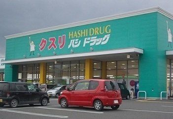 ハシドラッグ南福島店の画像