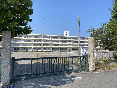 焼津市立大富小学校の画像