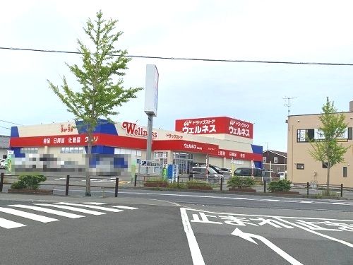 ドラッグストアウェルネス 湖山東店の画像