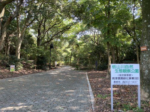 栃山川自然生態観察公園の画像