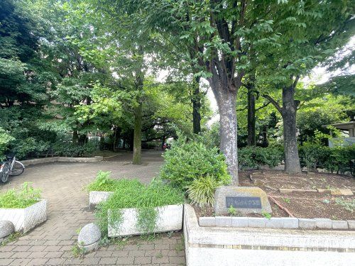 練馬区立向山わんぱく公園の画像