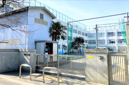 大田区立東蒲小学校の画像