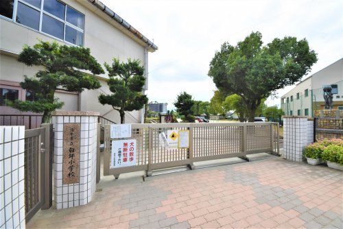熊本市立白坪小学校の画像